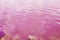 Salins pink coloured salt marshes.