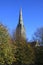 Salisbury Cathedral in Autumn