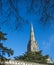 Salisbury Cathedral, Wiltshire, England - showing famous spire and Cedars of Lebanon trees..