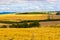 Salisbury plain landscape United Kingdom