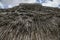 Salisbury plain - a thatched house.