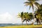 Sallie Peachie beach palm trees Corn Island