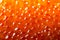 Salmon caviar background. Closeup trout caviar