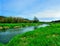 Salmon Creek Marshland