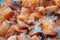 Salmon cubes of red fish, ingredient for sushi or salad, macro
