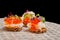 Salmon eggs, fish, and herbs canapes