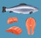 Salmon fillet. Realistic fish meat for gourmet restaurant menu natural healthy cutting food decent vector pieces of fish