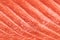 Salmon fish meat texture