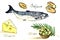 Salmon fish pieces, cheese and olives, Ingredients of Mediterranean diet