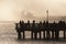 Salmon Fishermen on Elliott Bay in Seattle, Washington.