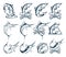 Salmon and Marlin Set. Symbols of Fishery Sport. Set of Fishing Emblems with Salmon Fish and Marlin. Fishing Sticker. Marlin Fish