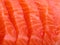 Salmon meat close-up