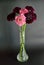 Salmon Queen Black Pompom Black Knight pincushion flower bouquet black background glass vase