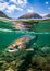 Salmon in the rivers of Alaska. Wilderness and wildlife. Generative Ai