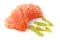 Salmon Sashimi