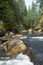 Salmon spawning creek in northwest British Columbia