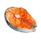 Salmon steak isolated on white, watercolor illustration