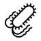 Salmonella bacteria line icon vector isolated illustration