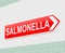 Salmonella concept.