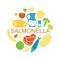 Salmonella contaminated food