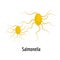 Salmonella icon, cartoon style.