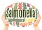 Salmonella word cloud hand sphere concept