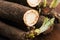 Salsify vegetables on wood