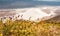 Salt Badwater Basin Panamint Mountains from Dante`s View ,Death Valley National Park