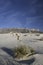 Salt Basin Dunes in Guadalupe Mountains National Park