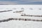 Salt bricks and piles of salt on the world`s largest salt flats Salar de Uyuni