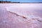Salt build-up on lake surface in Australian desert.