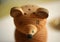 Salt cellar in form of wooden bear. Cute and useful as well