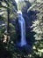 Salt Creek Falls in Oregon