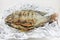 Salt-crusted grilled fish on foil white background isolated.