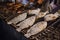 Salt-Crusted Grilled Fish, Thai street food