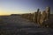 Salt Crusted Pilings at Salton Sea in California USA