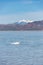 A salt crystal buildup at the Bonneville Salt Flats, Utah