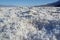 Salt crystal formation in Death Valley