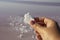 A salt crystal in the hands, formed on a pink lake that has a high content of salts