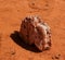 Salt crystal in the Saline Demi dry lake, Fada, Ennedi, Chad