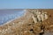 Salt crystallization on a rocky coastline