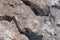 Salt crystals on the salty surface of desert close up. Natural background with copy space