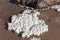 Salt crystals on the salty surface of desert close up. Natural background with copy space