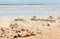 Salt deposits of the dead sea, Israel coast