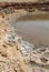 Salt evaporation ponds