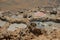 Salt evaporation ponds