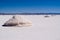 Salt Extraction, Argentina