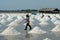 Salt farmers carry salt into the shed