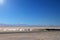 Salt Flat Lagoon Ojos del Salar in Atacama desert near San Pedro de Atacama, Antofagasta Region, Chile