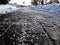 Salt grains on icy sidewalk surface in the winter